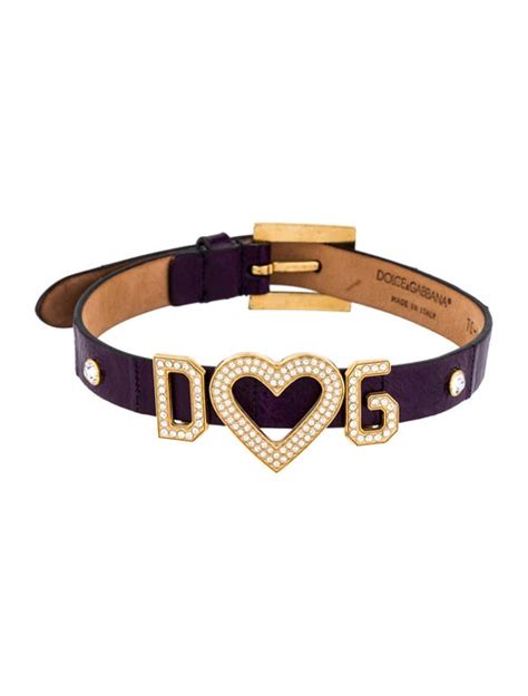 dolce gabbana dog collars.